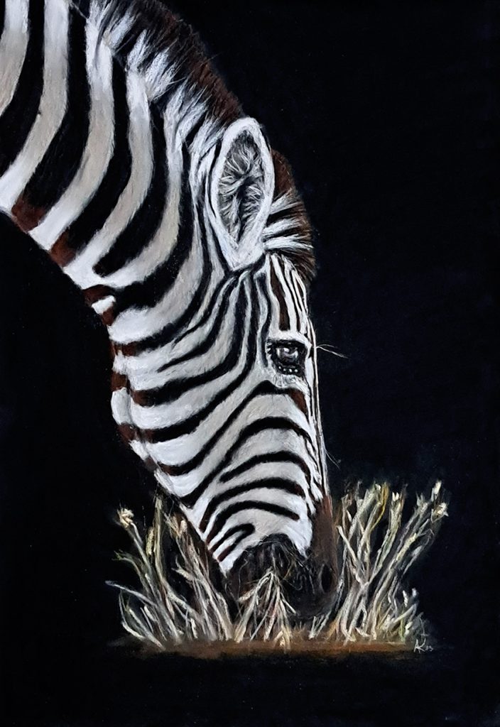 Zebra A Family Of Contrasts