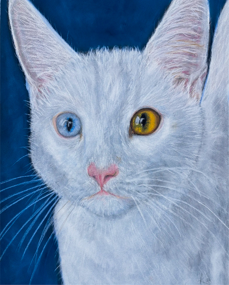 Albie Portrait 2_edited angel kershaw